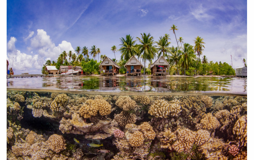 Taeyup Kim, laureat Up & Coming Underwater Photographer of the Year 2019