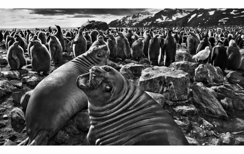 © Sebastiao Salgado