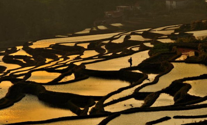 “Dziedzictwo światowej kultury. Ryżowe tarasy w Chinach.” - wystawa zdjęć Krzysztofa Machowskiego