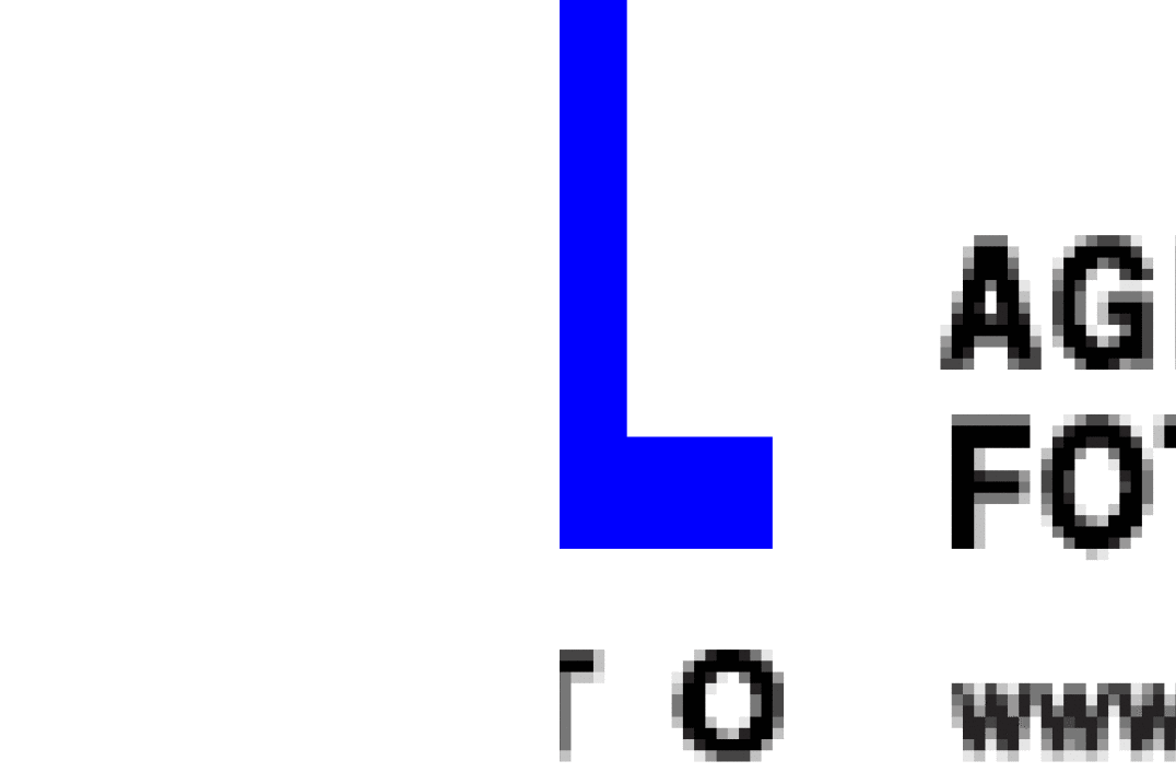 Warsztaty z Agencją Fotograficzną PUTTO