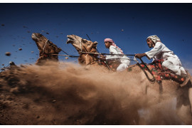 3. miejsce w konkursie, fot.  Ahmed Al Toqi, "Camel Ardah"