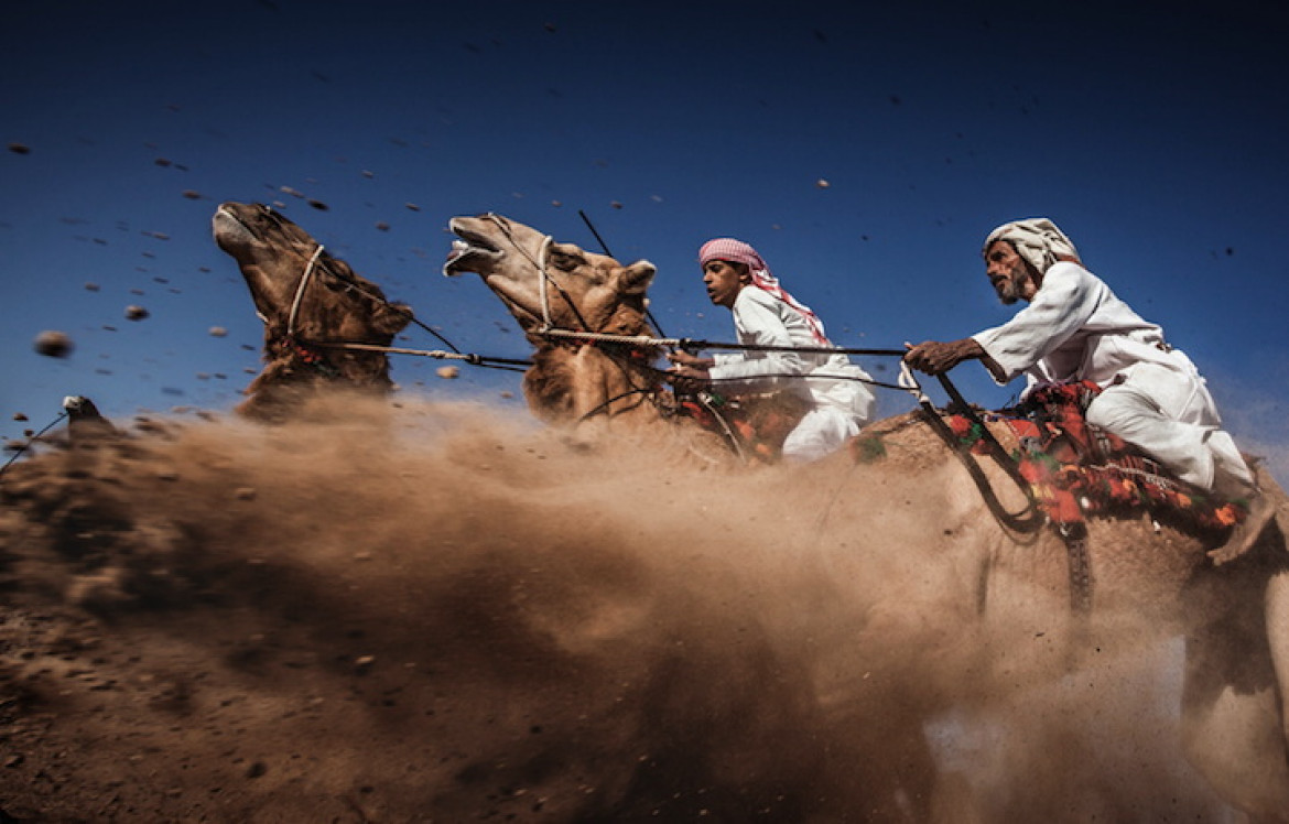 3. miejsce w konkursie, fot.  Ahmed Al Toqi, "Camel Ardah"