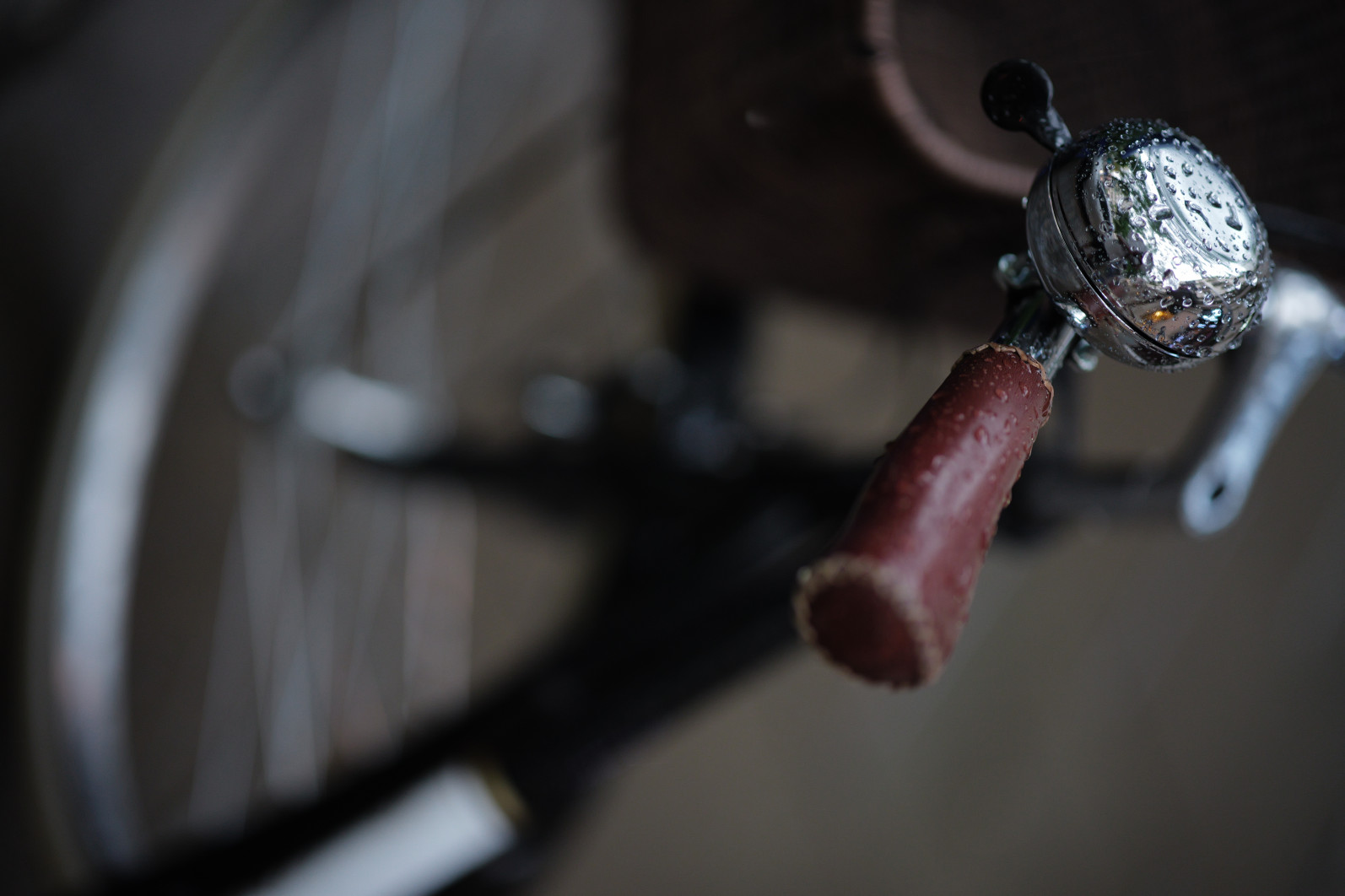 1/125 s, f/1.4, ISO 1125, 75 mm