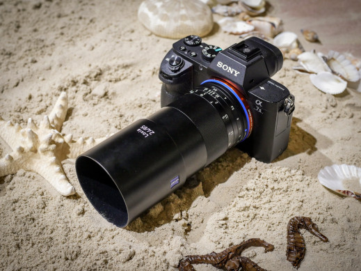 Zeiss Loxia 85 mm f/2.4 - zdjęcia przykładowe