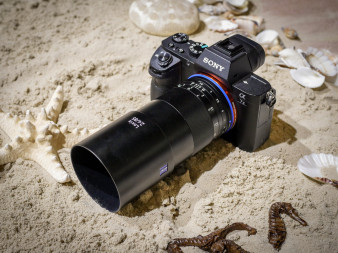 Zeiss Loxia 85 mm f/2.4 - zdjęcia przykładowe