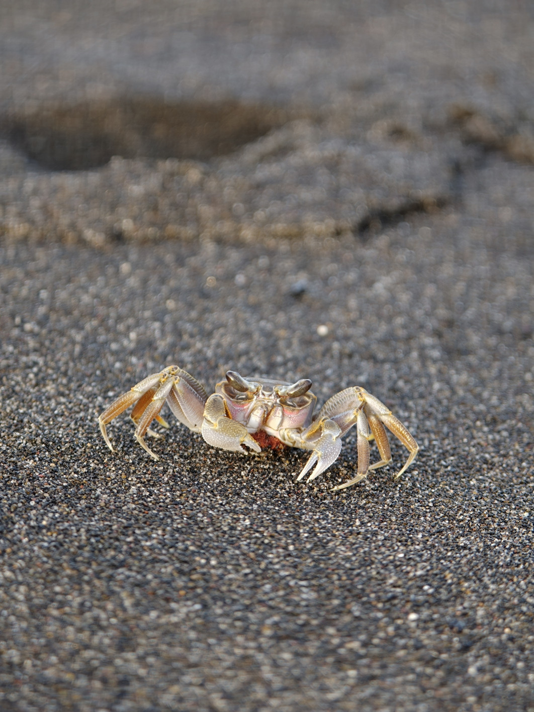 1/100 s, f/2.1, ISO 320, 16.5 mm