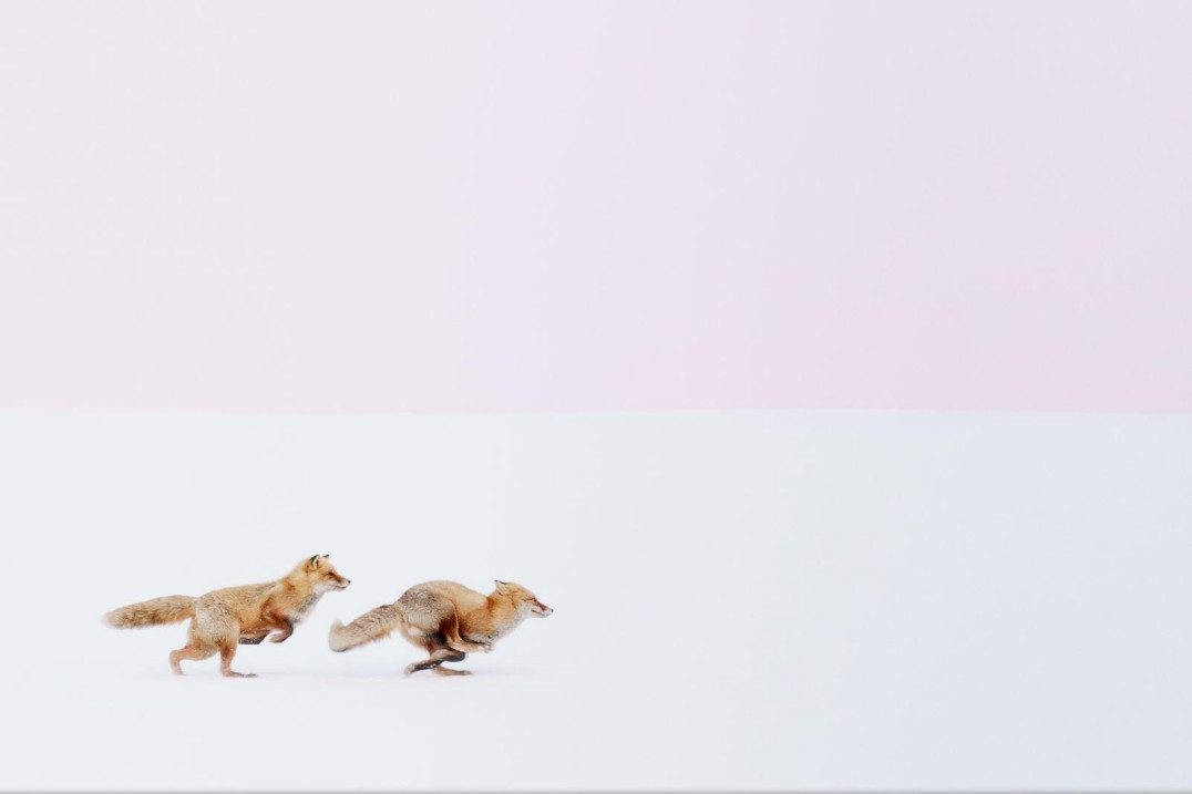 Wystartował National Geographic Travel Photographer of the Year 2017