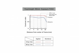 Tamron SP 90 mm f/2.8 Di VC USD 1:1 Macro