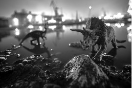 fot. Żaneta Gabriel, nominacja w kat. Conceptual, z serii "The Dinosaurs in the Imperial Shipyard"