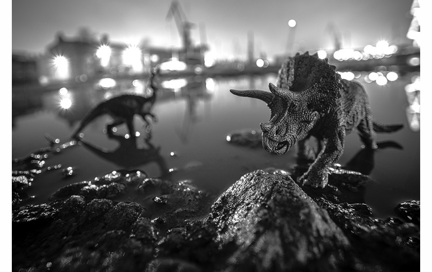 fot. Żaneta Gabriel, nominacja w kat. Conceptual, z serii The Dinosaurs in the Imperial Shipyard