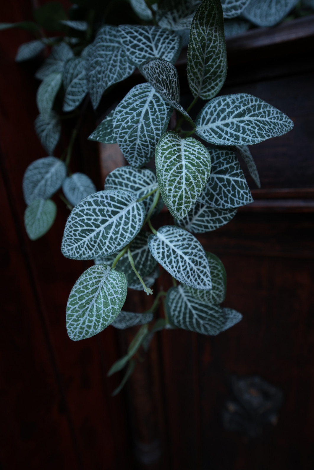 1/30 s, f/4, ISO 500, 20 mm