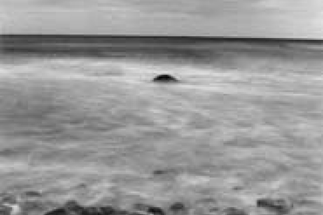 V edycja konkursu "Ekologia w obiektywie" rozstrzygnięta