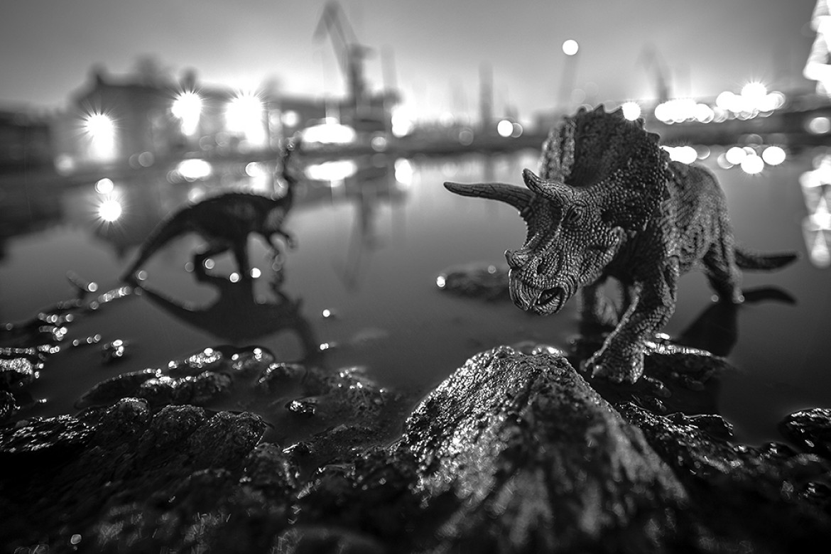 fot. Żaneta Gabriel, nominacja w kat. Conceptual, z serii "The Dinosaurs in the Imperial Shipyard"