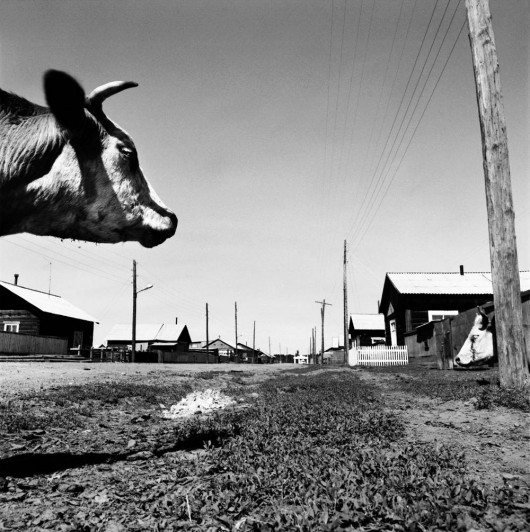 fot. Andreas Horvath