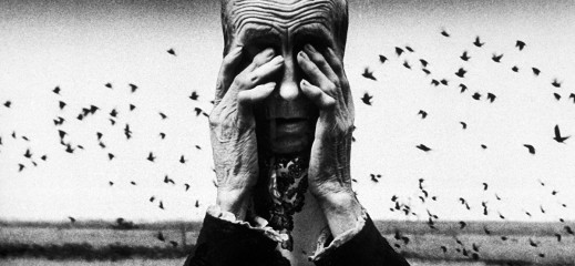 Co łączy twórców ze Śląska? Przekonaj się z albumem „Śląska Fotografia Artystyczna”