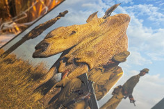 Canon World Unseen Exhibition – poruszająca podróż do świata wyobraźni i dotyku w Ustroniu Morskim