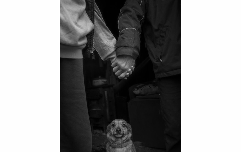 Fot. Maciej Grzybowski, 1. miejsce w kat. Documentary Project / Grand Press Photo 2024Ela, Darek i Mirek są w bezdomności od wielu lat. Mieszkają w lesie nad rzeką, na obrzeżach miasta. Opiekują się dwoma psami Florą i Jogim. Ela przez kilkanaście lat pracowała w zakładach farmaceutycznych. Jest wdową, jej syn mieszka za granicą. Obecnie bezrobotna. Darek, partner Eli, podejmuje się prac dorywczych na budowach i w firmach sprzątających miasto. Sam zbudował wszystkie domki. Mirek pochodzi z Pomorza, jest wolnym duchem. Często wychodzi w nocy zbierać złom, który potem sprzedaje.
W Polsce około 30 tysięcy osób znajduje się w kryzysie bezdomności, z czego ponad 80 proc. stanowią mężczyźni.
