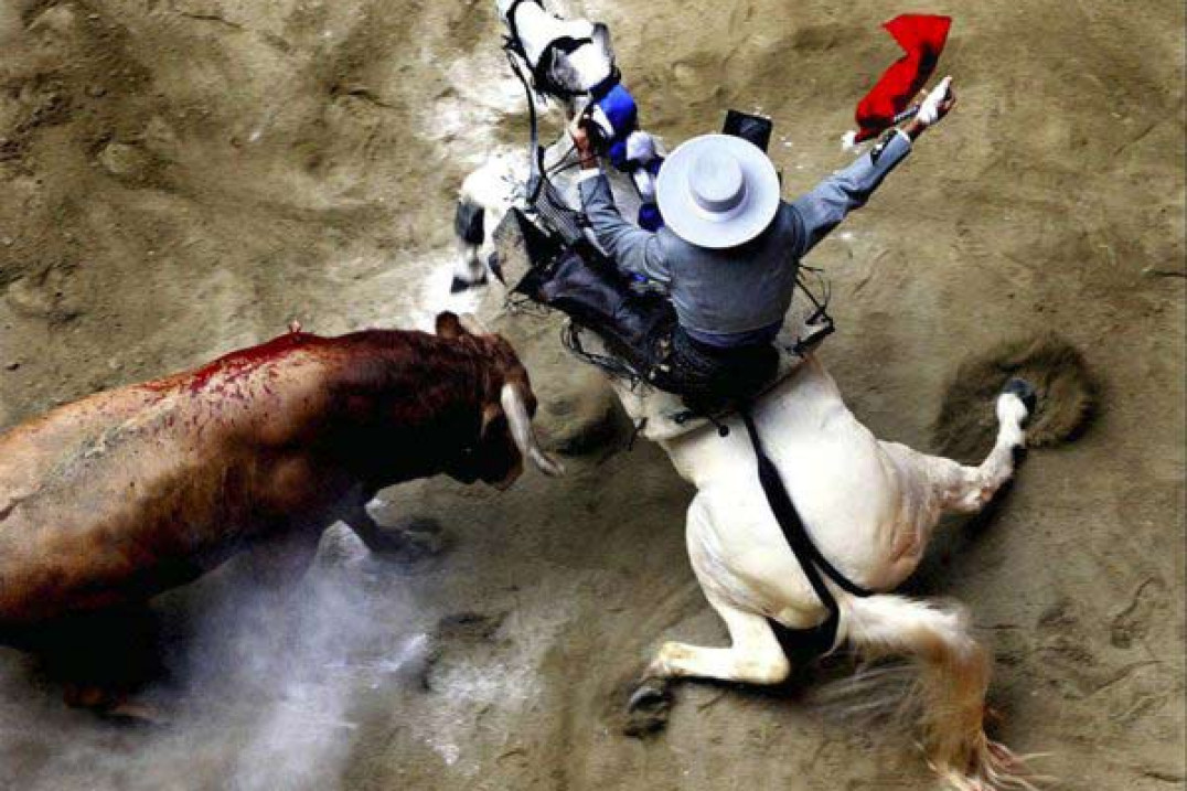 Polska premiera wystawy World Press Photo 2006