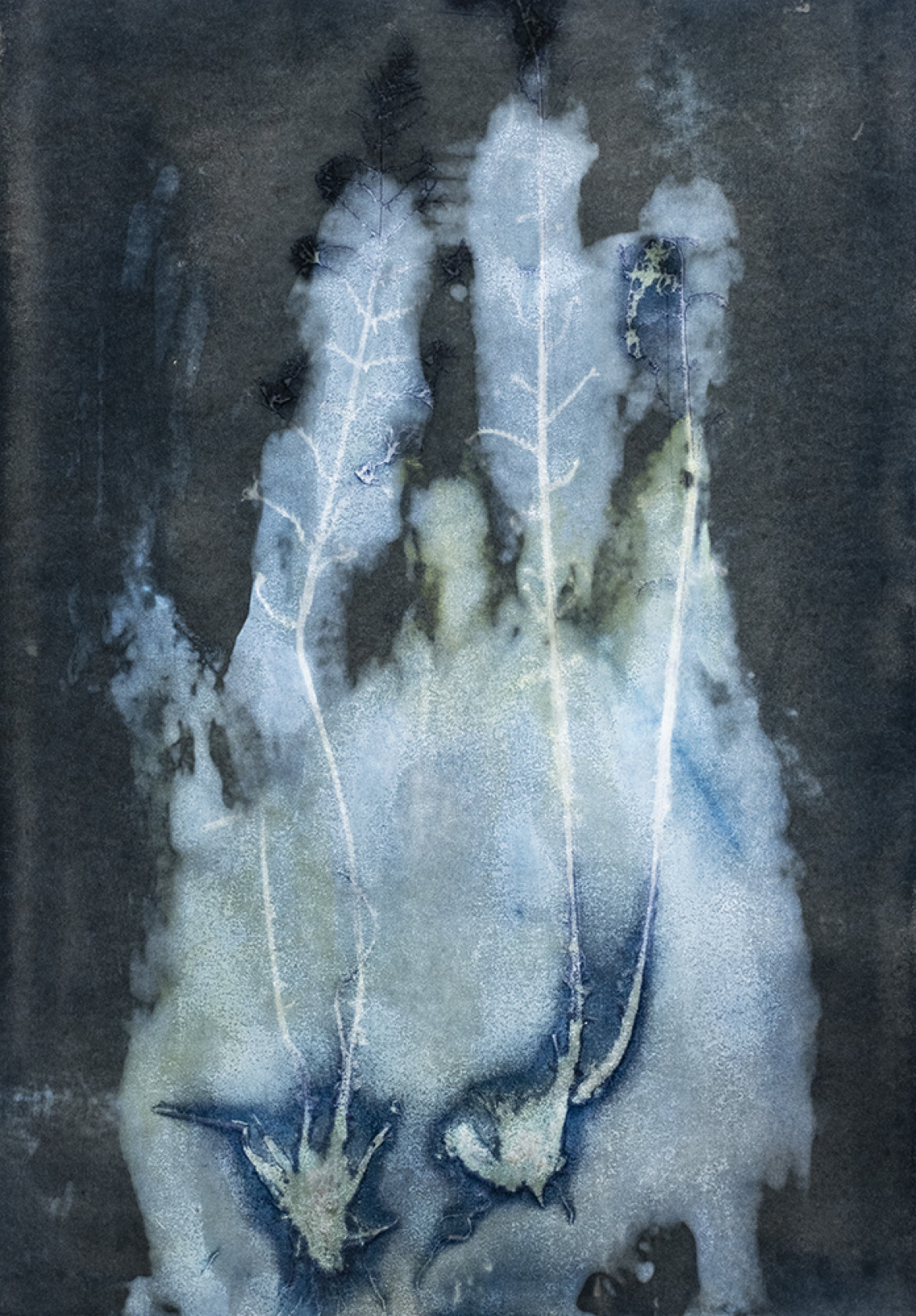 fot. Iwona Germanek, nominacja w kat. Fine art, z serii "Reminiscences. Blue Chlorophyll"