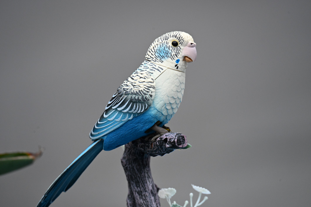 1/100 s, f/8, ISO 1600, 400.0 mm