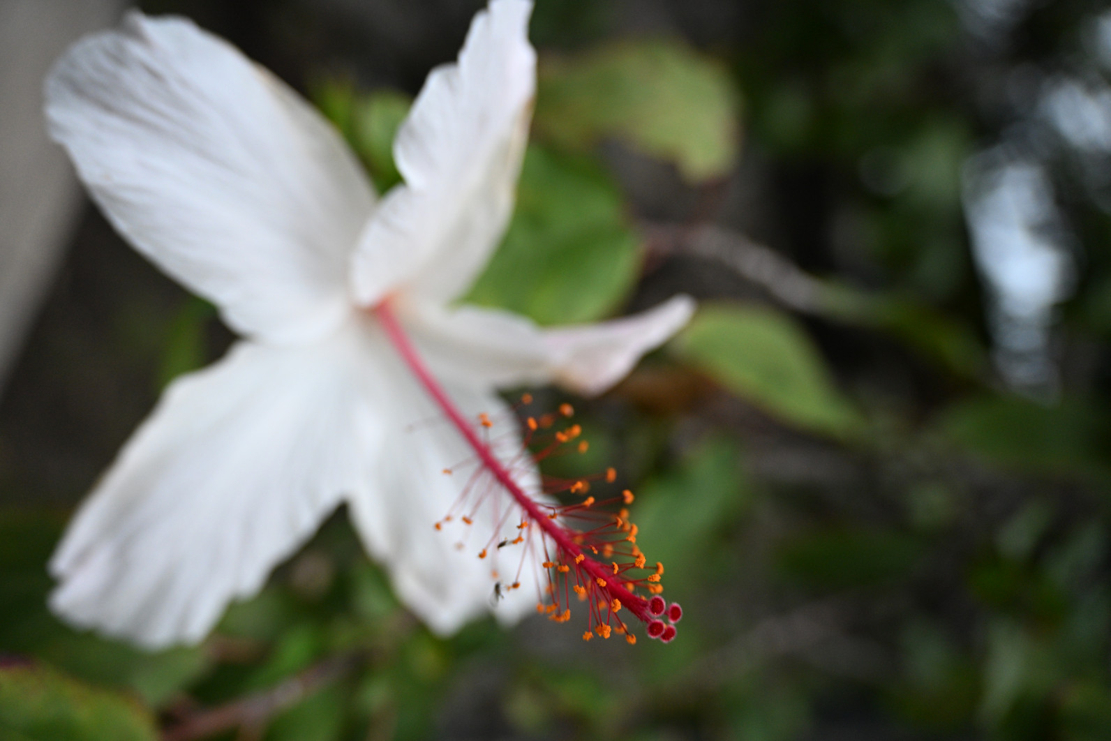 1/125 s, f/4, ISO 1600, 28.0 mm