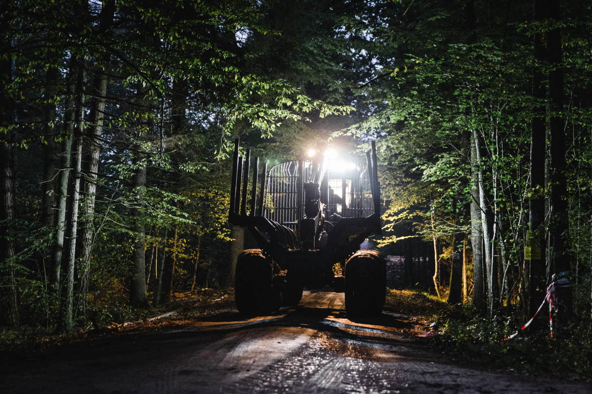 Krystian Maj - Białowieża, 25.09.2017 Ciężkie maszyny do wycinki drzew wyruszają o zmroku do Puszczy. Pracując na nocne zmiany są dużo cięższe do namierzenia przez ekologów.