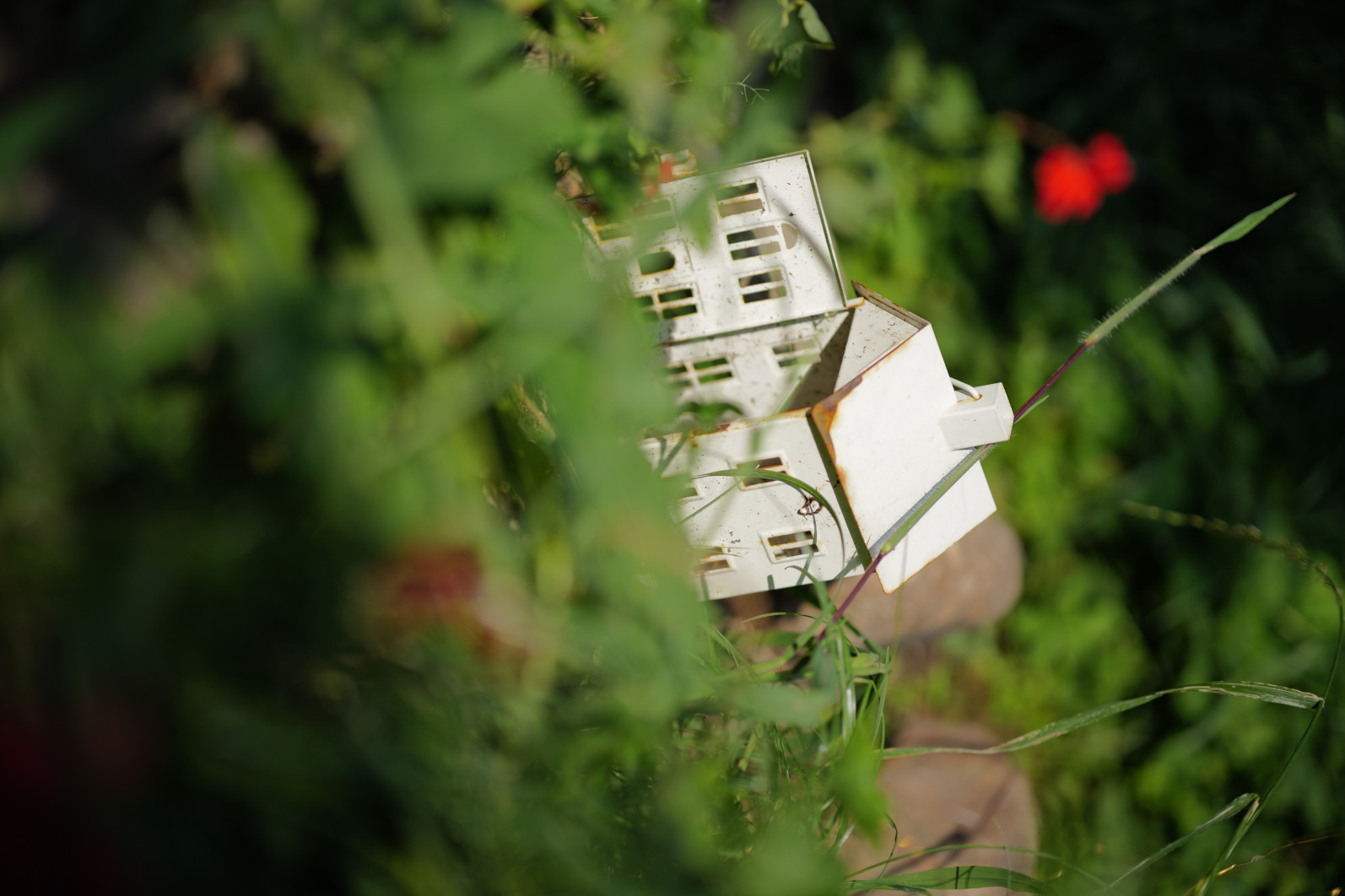 1/1500 s, f/1.4, ISO 100, 75 mm