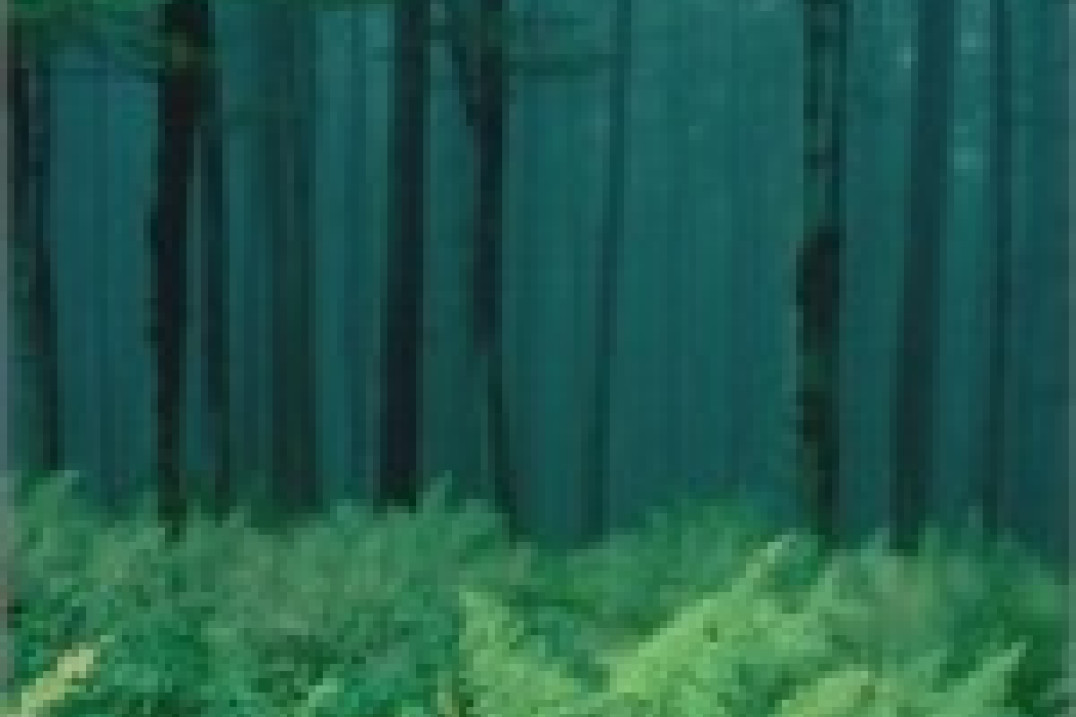 Zdjęcia Arkadiusza Ziółka