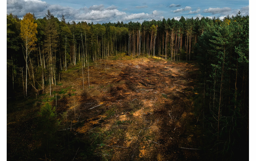 Krystian Maj - Czerlonka 15.10.2017 Pomimo zapewnień ministerstwa o precyzyjnych cieciach pojedynczych drzew, wycinka dużych połaci lasu jest często prowadzona z dala od turystycznych szlaków.