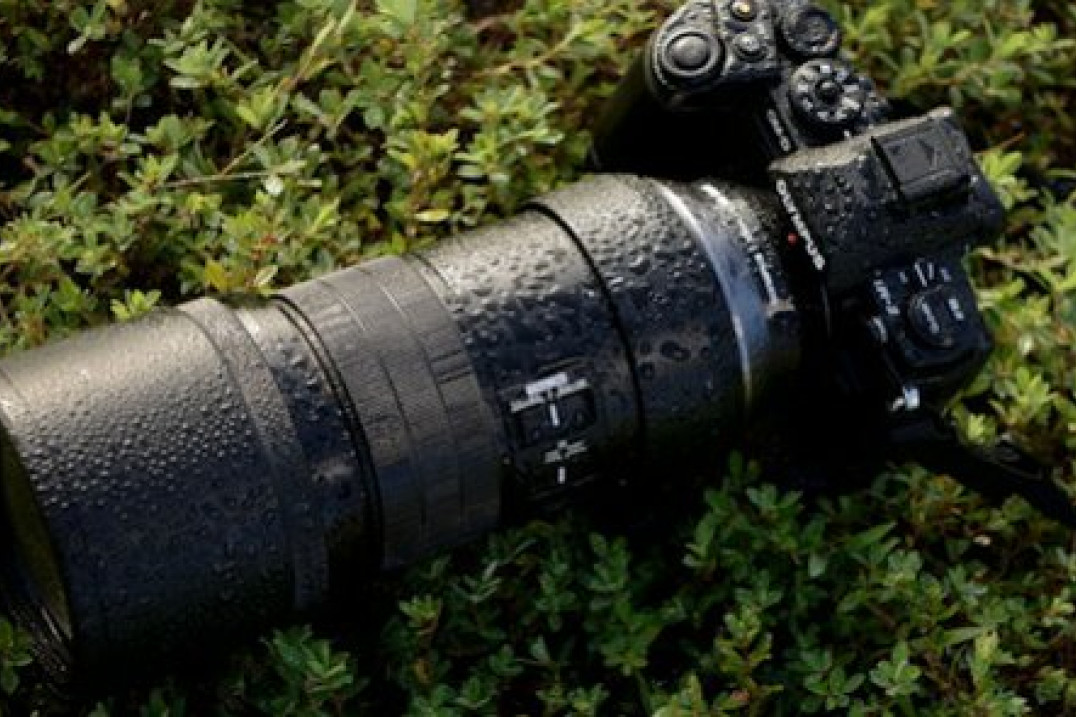 Olympus M.Zuiko DIGITAL ED 300 mm f/4 IS PRO - teleobiektyw dla profesjonalistów