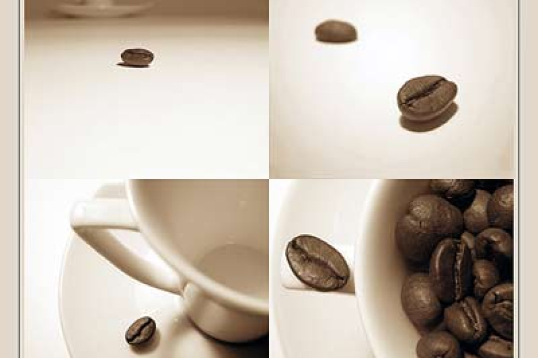 Wystawa z akcji kawa