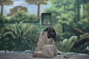 Sony World Photography Awards 2025 rozstrzygnięte. Oto zwycięzcy!