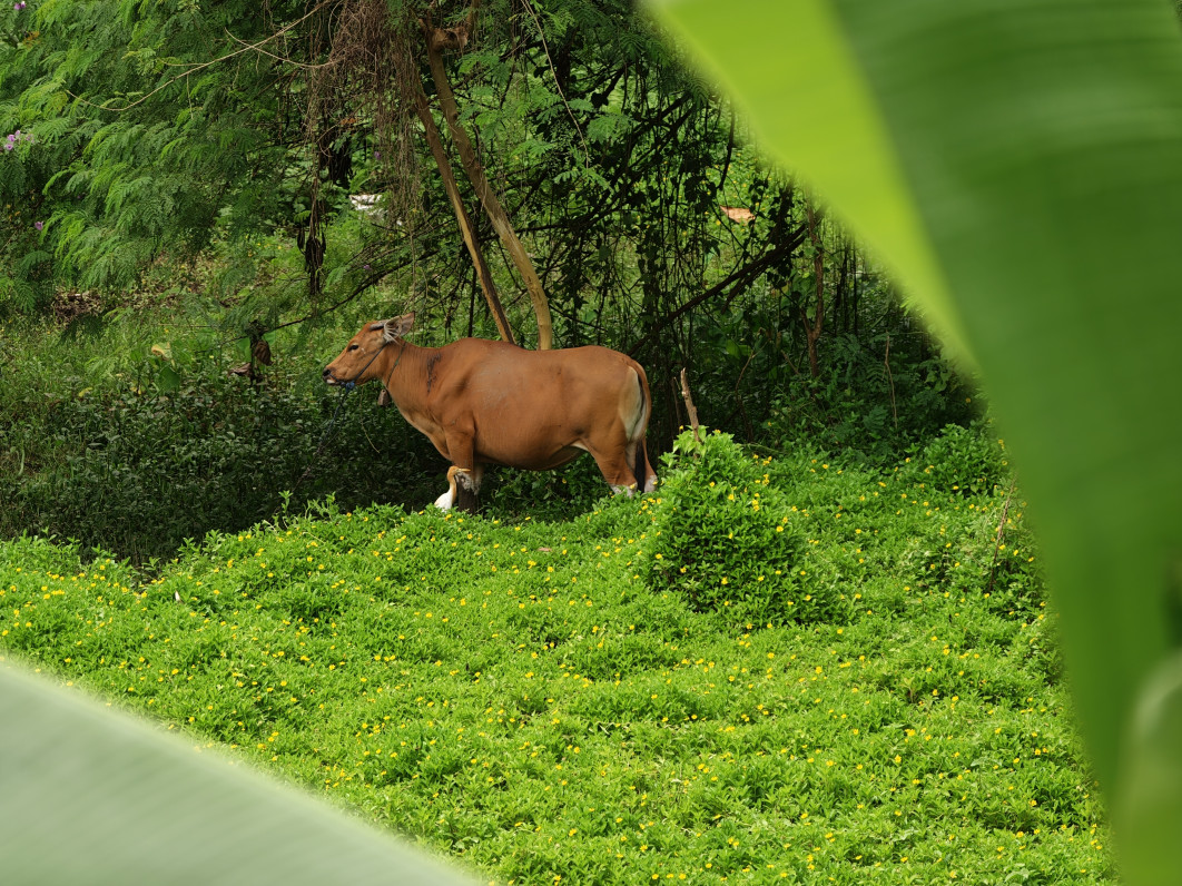 1/200 s, f/2.1, ISO 125, 16.5 mm