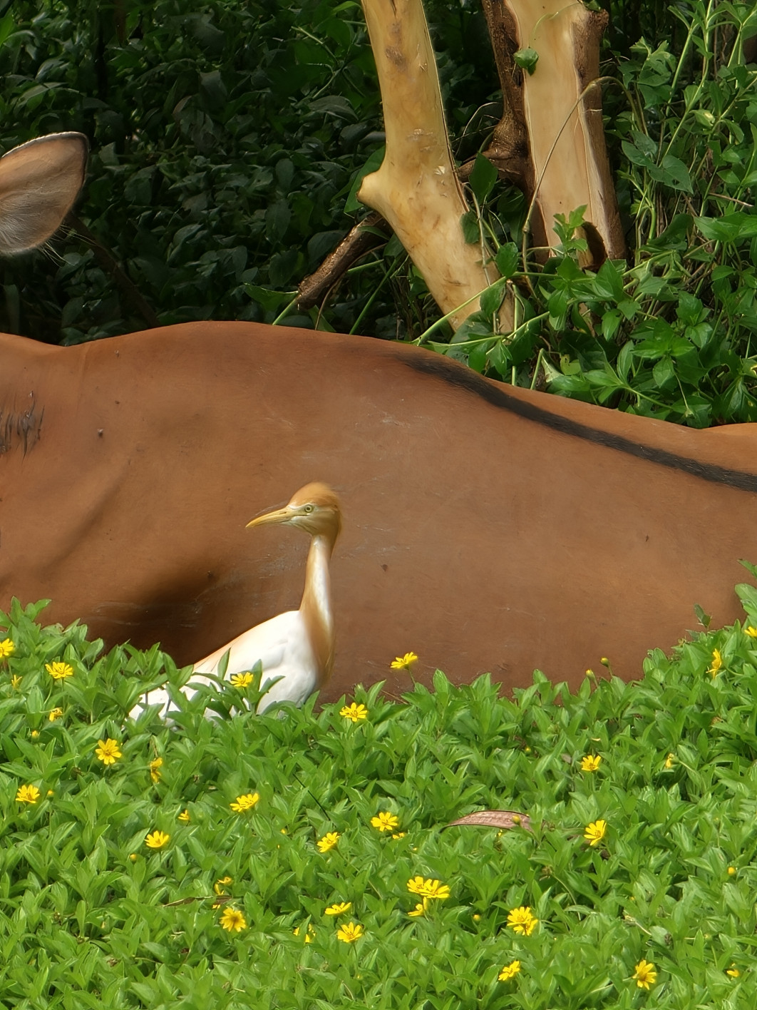 1/273 s, f/2.1, ISO 50, 16.5 mm