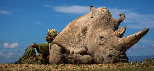Dla takich ujęć warto zwiedzać świat. Oto najlepsze zdjęcia z Travel Photographer of the Year 2022