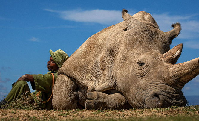 Dla takich ujęć warto zwiedzać świat. Oto najlepsze zdjęcia z Travel Photographer of the Year 2022