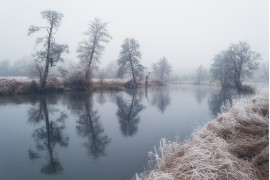 fot. Krzysztof Tollas, "Walking Along the Forest Road", 3. miejsce w kategorii Book (self-published) / Nature