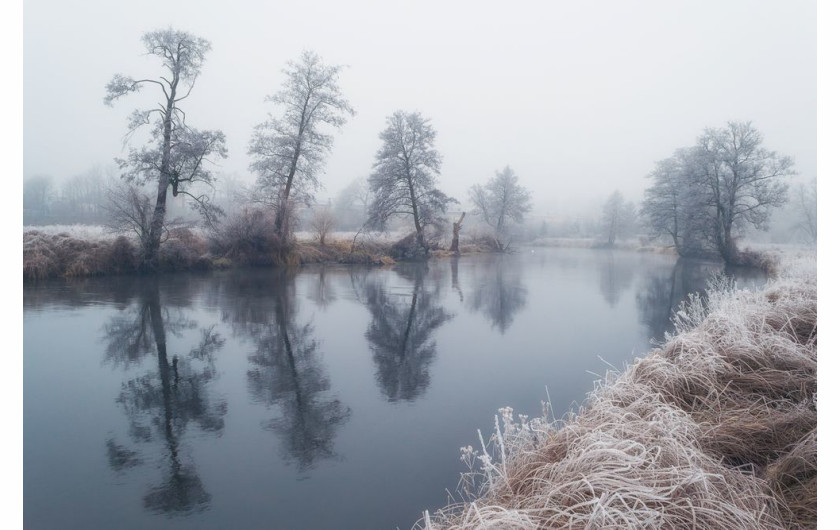 fot. Krzysztof Tollas, Walking Along the Forest Road, 3. miejsce w kategorii Book (self-published) / Nature