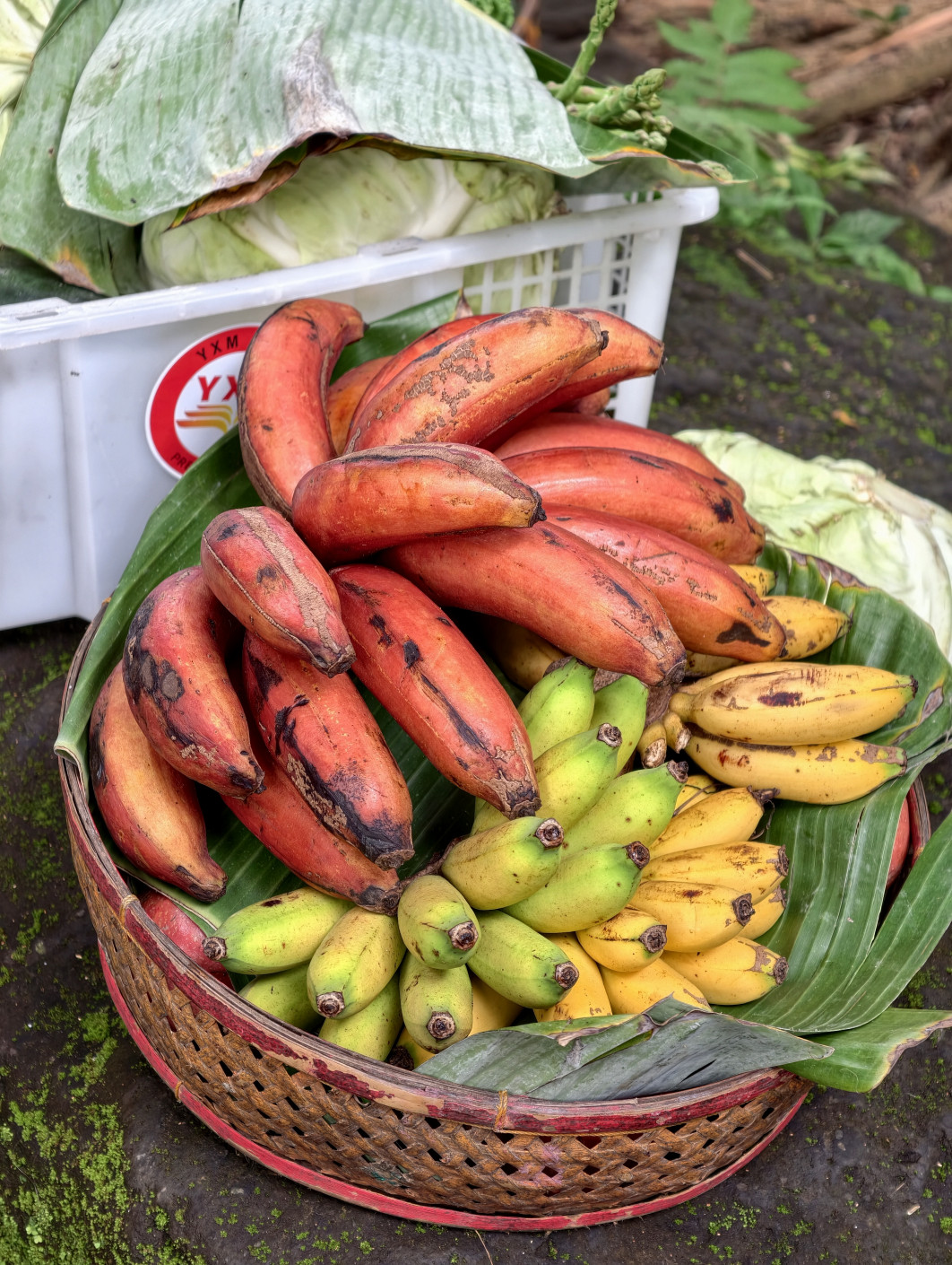 1/100 s, f/2,67, ISO 589, 85 mm