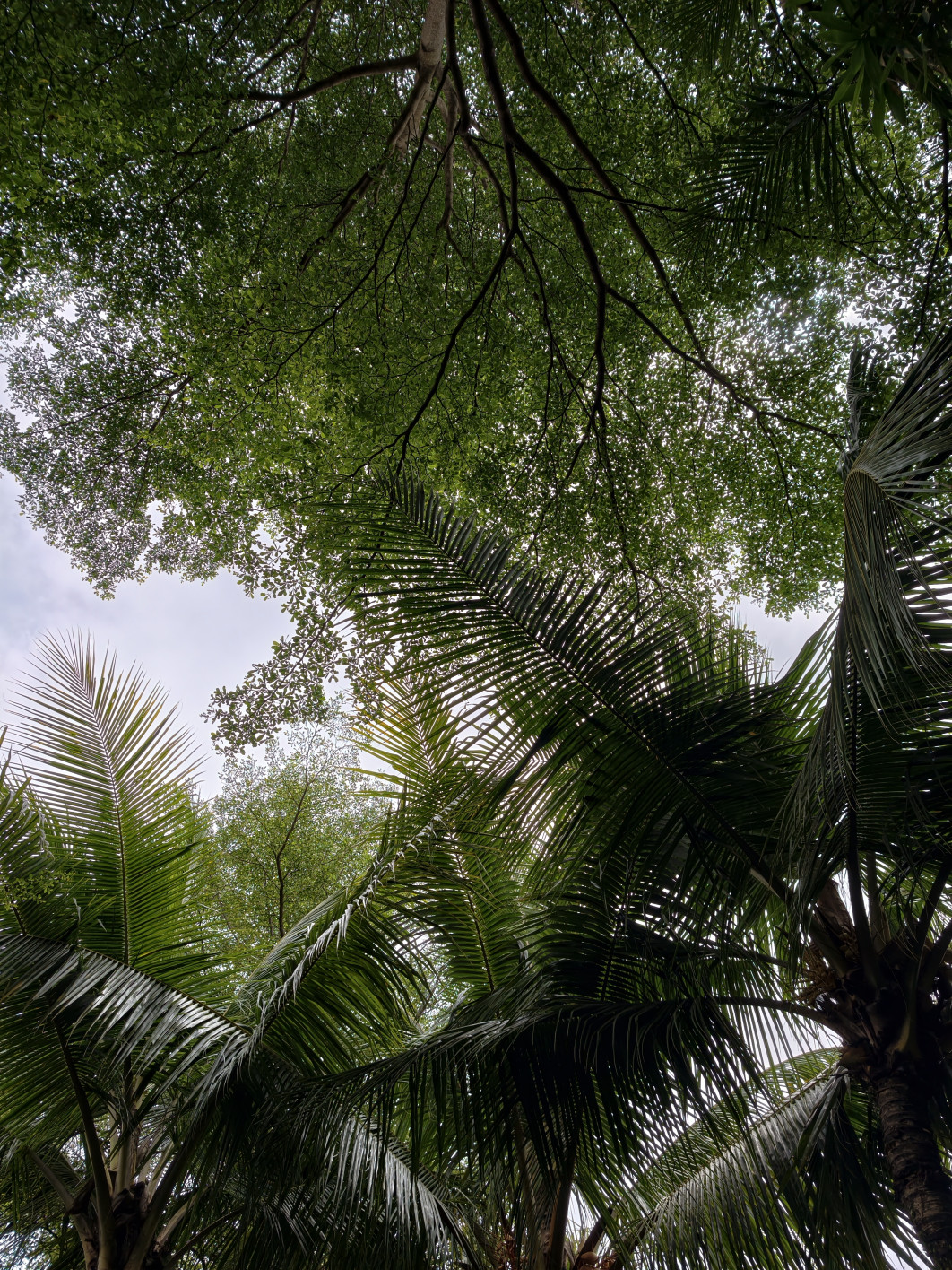 1/643 s, f/1,57, ISO 71, 24 mm