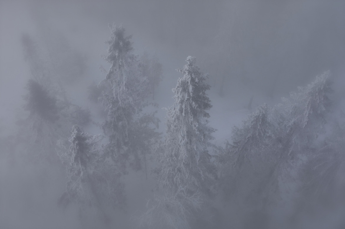 fot. Agnieszka Tracz, nominacja w kat. Landscape, "Winter"