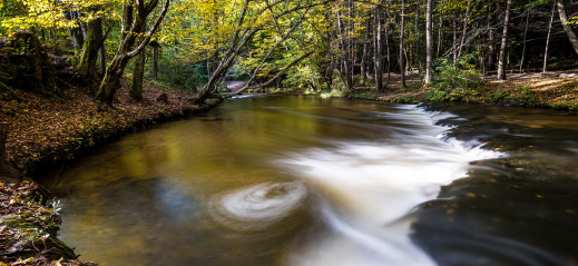 Nieznane roztocze - kwietniowy plener fotograficzny z Tokiną