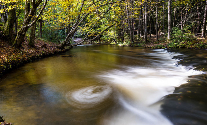 Nieznane roztocze - kwietniowy plener fotograficzny z Tokiną