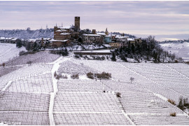 fot. Thomas Hyland, "A Langhe Winter", 1. miejsce w kategorii Errazuriz Wine Photographer of the Year - Places