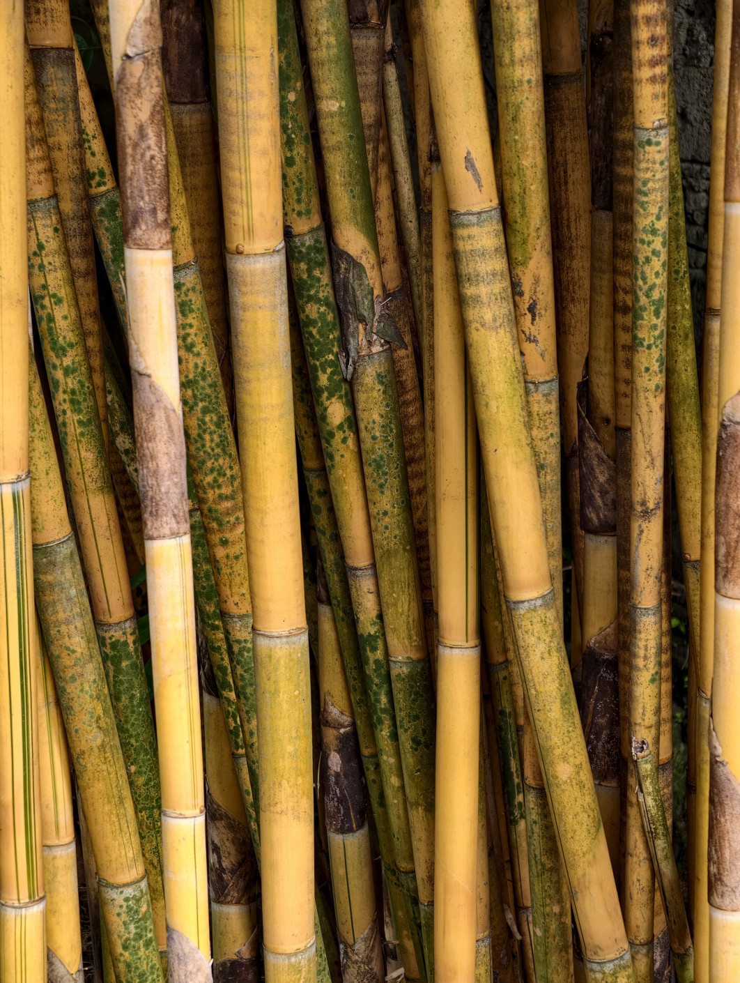 1/100 s, f/2,67, ISO 513, 85 mm