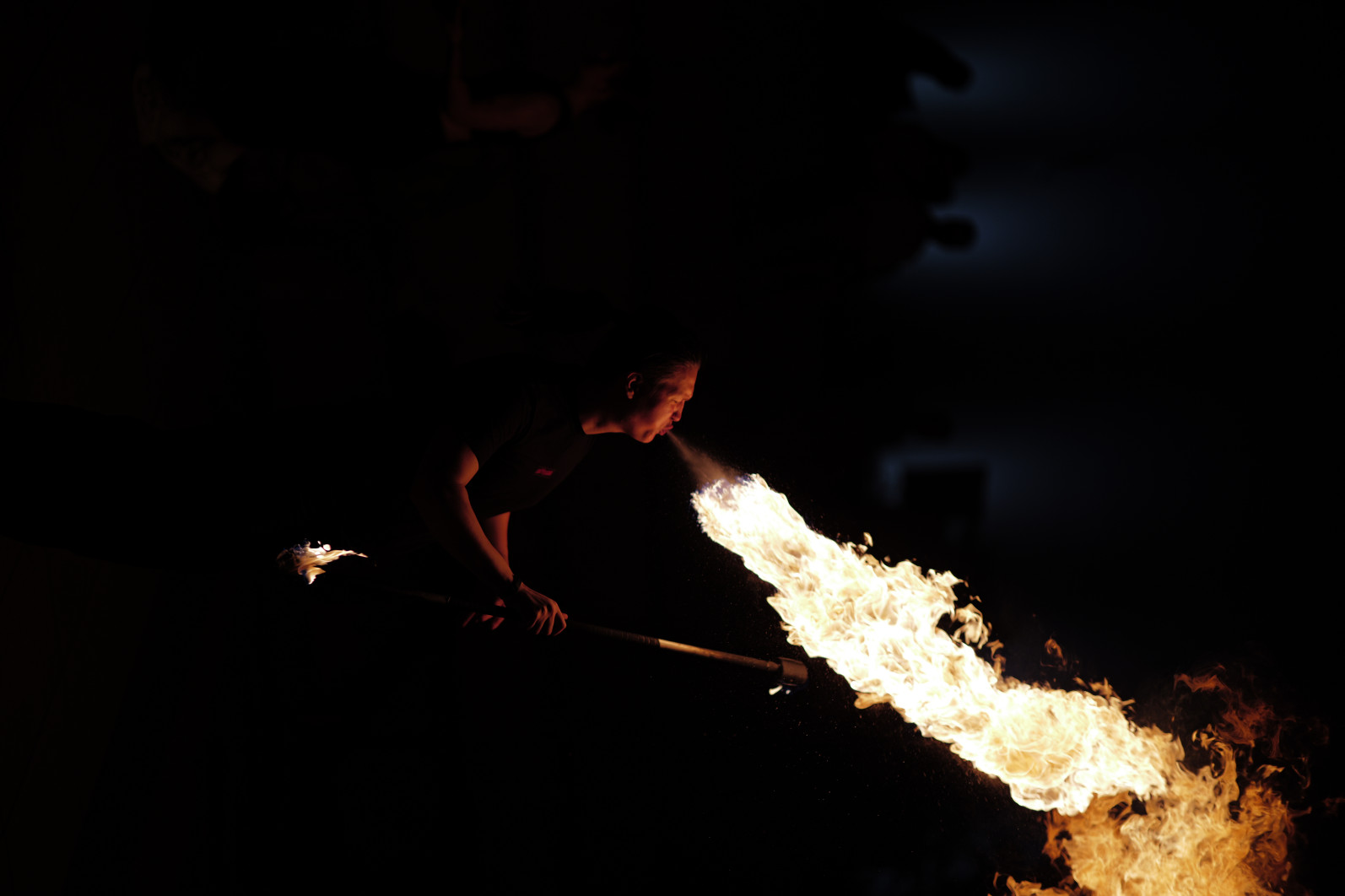 1/1250 s, f/1.4, ISO 100, 75 mm