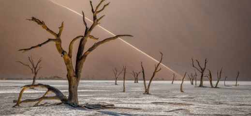 International Landscape Photographer of the Year 2019 - dowiedz się, jak powstały wyróżnione zdjęcia Polaków