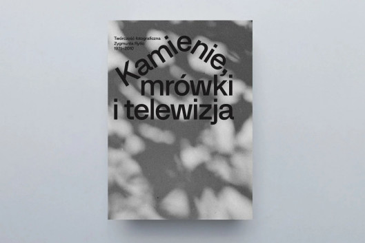 Zygmunt Rytka. Kamienie, mrówki i telewizja / Fundacja Sztuk Wizualnych