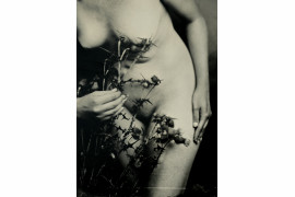 fot. Mateusz Detyniecki, nominacja w kat. Nudes, "Thistle"