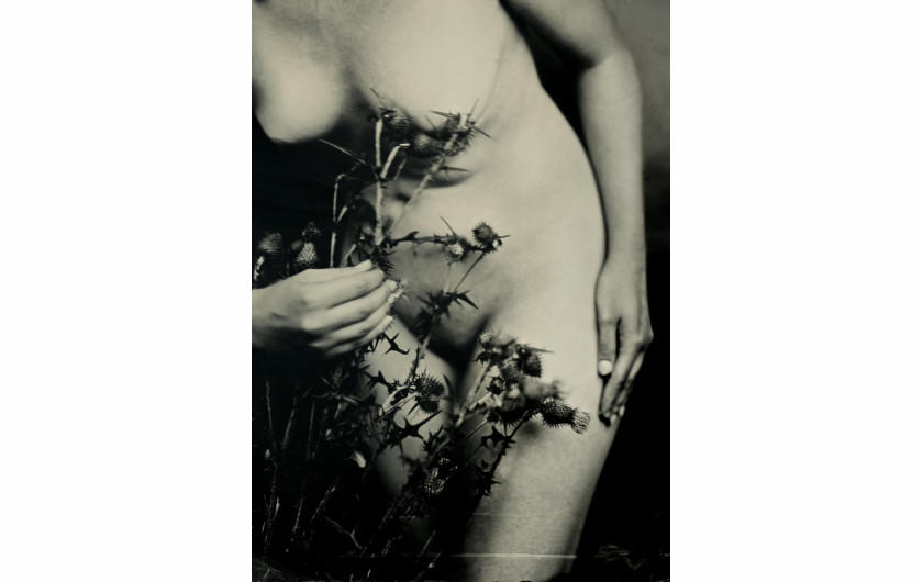 fot. Mateusz Detyniecki, nominacja w kat. Nudes, Thistle